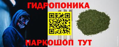 мдма Можга
