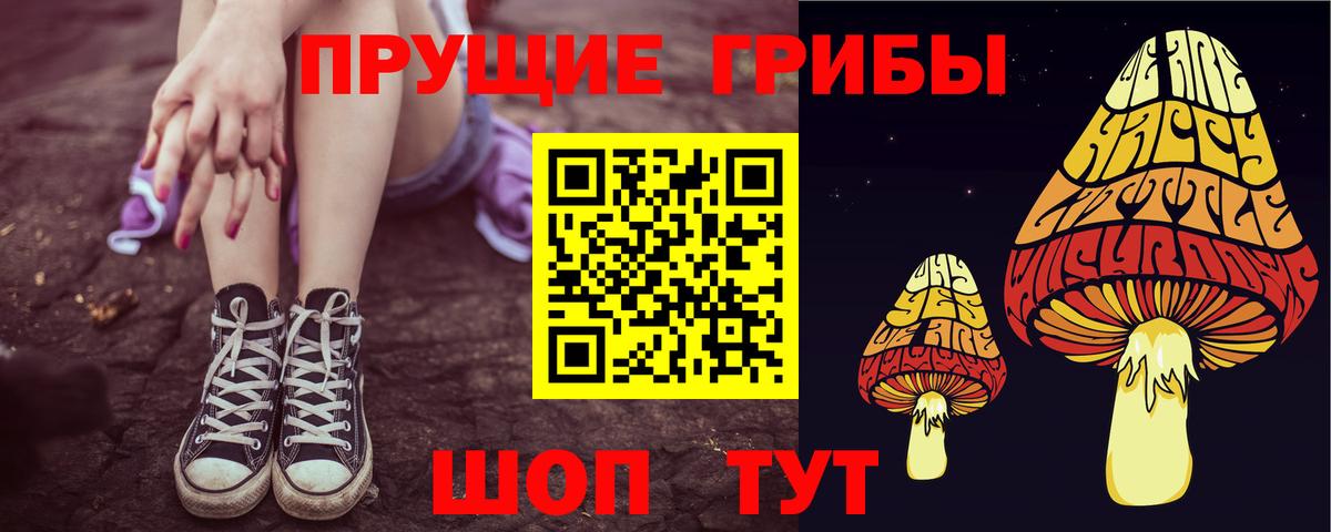 Галлюциногенные грибы прущие грибы  Вход с VPN  Озёрск 